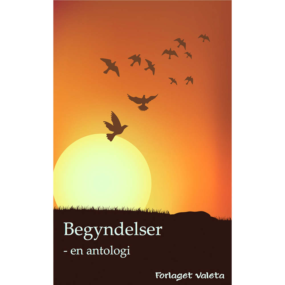 Begyndelser